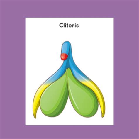 nice clitoris